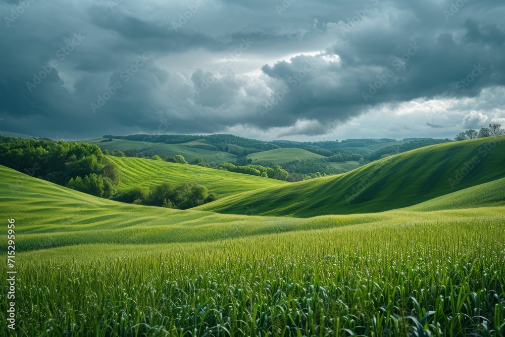 Rolling green hills under a stormy sky.