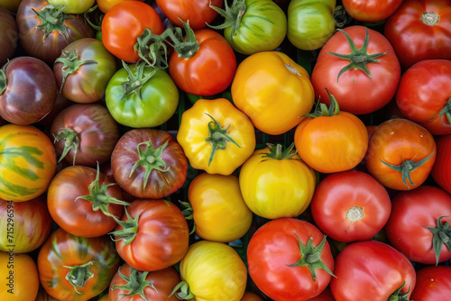 An array of heirloom tomatoes, showcasing the diverse colors, shapes and sizes