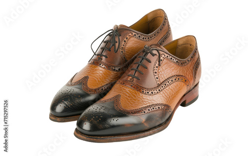 Classic Footwear Display Scene on a transparent background