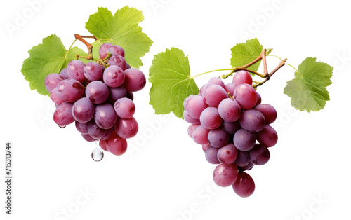 A Celebration of Nature Bounty with the Plump and Juicy Goodness of Grapes on a White or Clear Surface PNG Transparent Background.