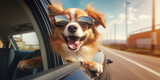 dog in car,,Happy dog with sunglasses looking out of a car window ai generative illustration,,,Dog enjoying from traveling by car
