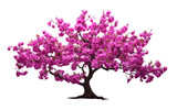 A Dance of Elegance as the Tree Showcases its Purple Finery on a White or Clear Surface PNG Transparent Background.
