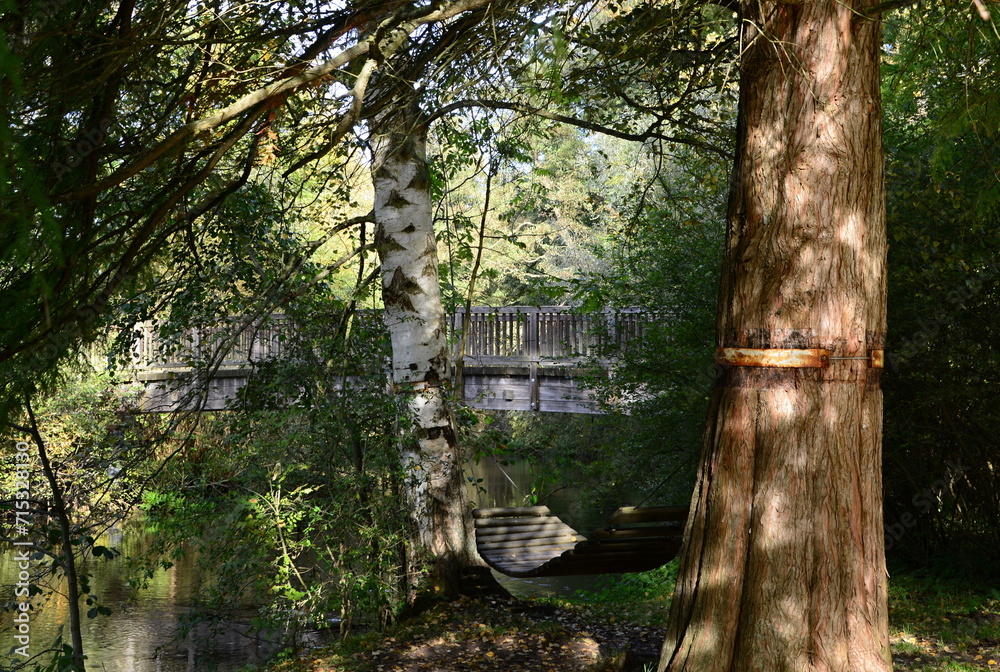 Fototapeta premium Park in Autumn in the Town Bad Bevensen, Lower Saxony