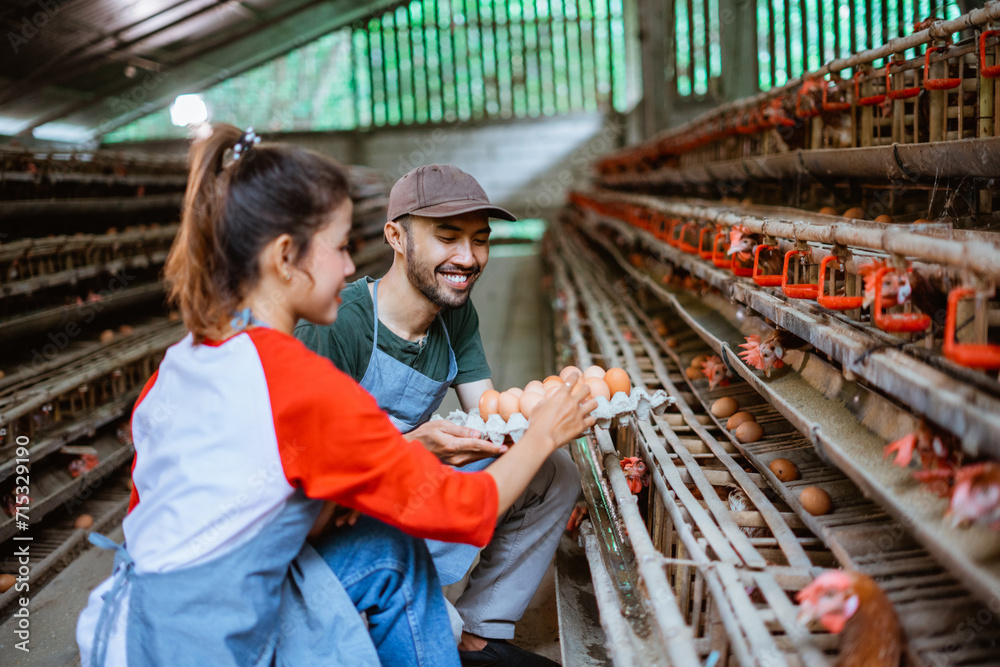 entrepreneur couple take eggs from a cage while holding egg carton tray at chicken farm