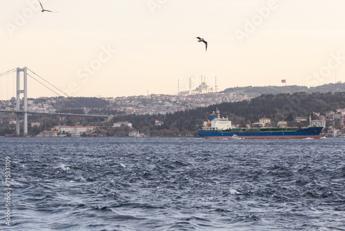 Blue and red cargo ship sailing the Bosphorus, Turkey
