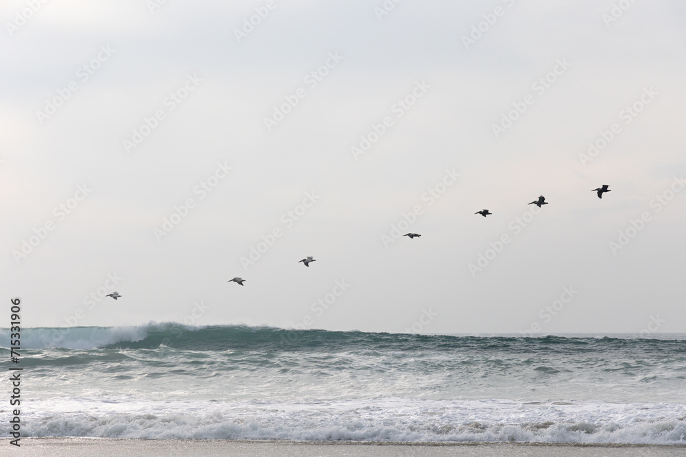 Pelicans flying in formation over waves on cloudy day