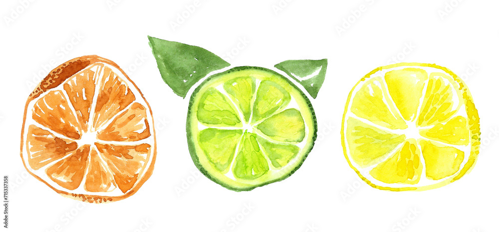 Set of citrus slices. Round slices of orange orange, yellow bright lemon and green lime with green leaves.Light hand watercolor illustration on white background for your design