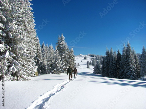 In winter, tourists went hiking in the mountains