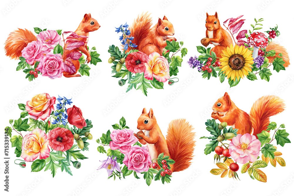 Squirrel and beautiful flowers on isolated white background, watercolor painting illustration, design poster, postcard Squirrel and beautiful flowers on isolated white background, watercolor painting illustration, design poster, postcard