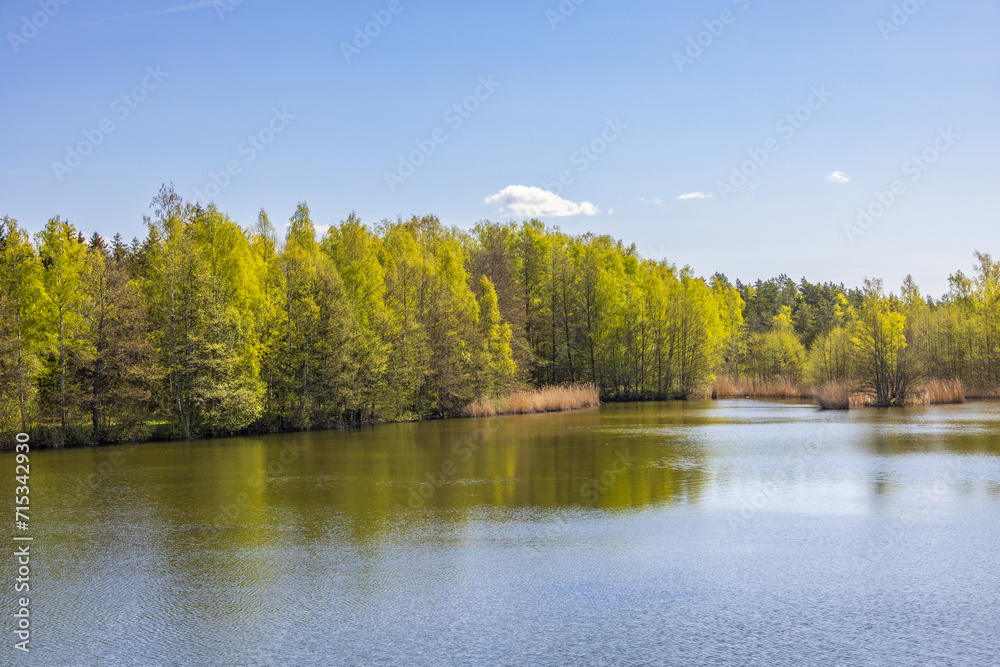 Landscape view at a lake with budding green trees Landscape view at a lake with budding green trees