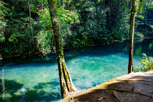 jamaica landscape in carribean sea and wild nature