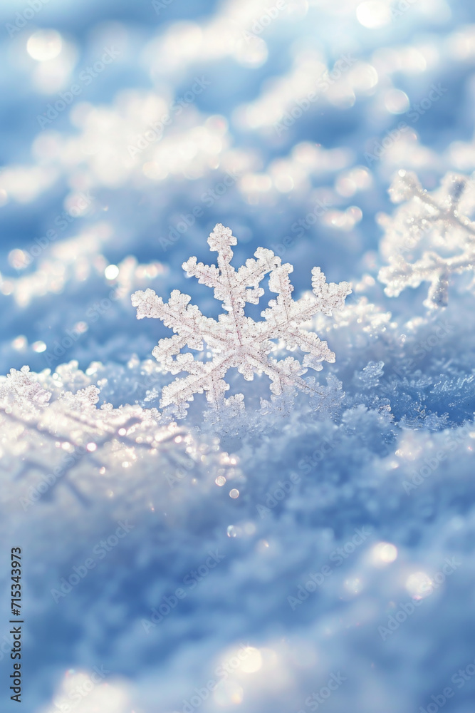 A close-up of snowflakes on the snow. A close-up of snowflakes on the snow.