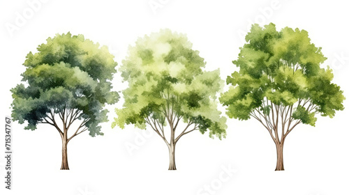  tree background