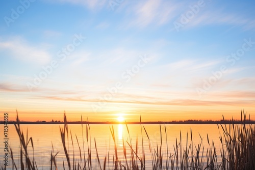 a wetland during sunset with cattail silhouettes against the sky photo