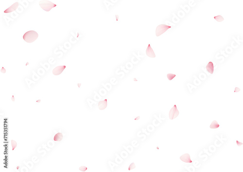 Falling Sakura Petals