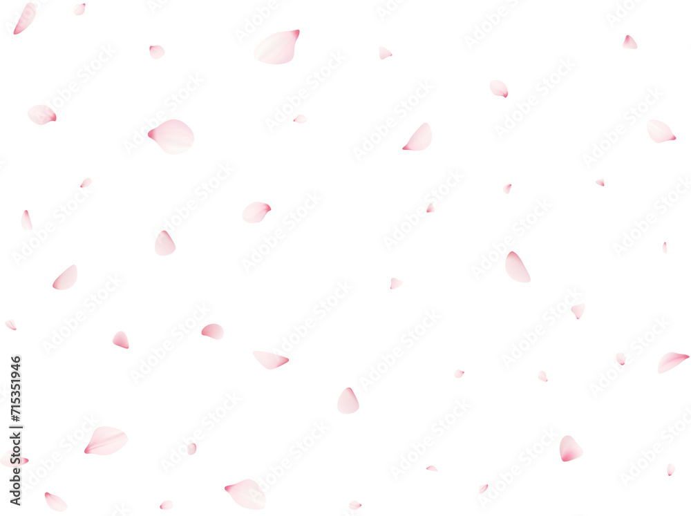 Falling Cherrty Petals Falling Cherrty Petals