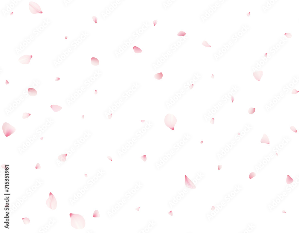 Falling Cherrty Petals Falling Cherrty Petals