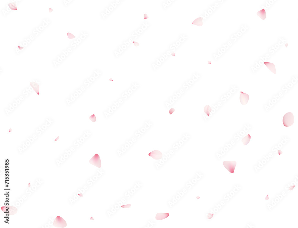 Falling Cherrty Petals Falling Cherrty Petals
