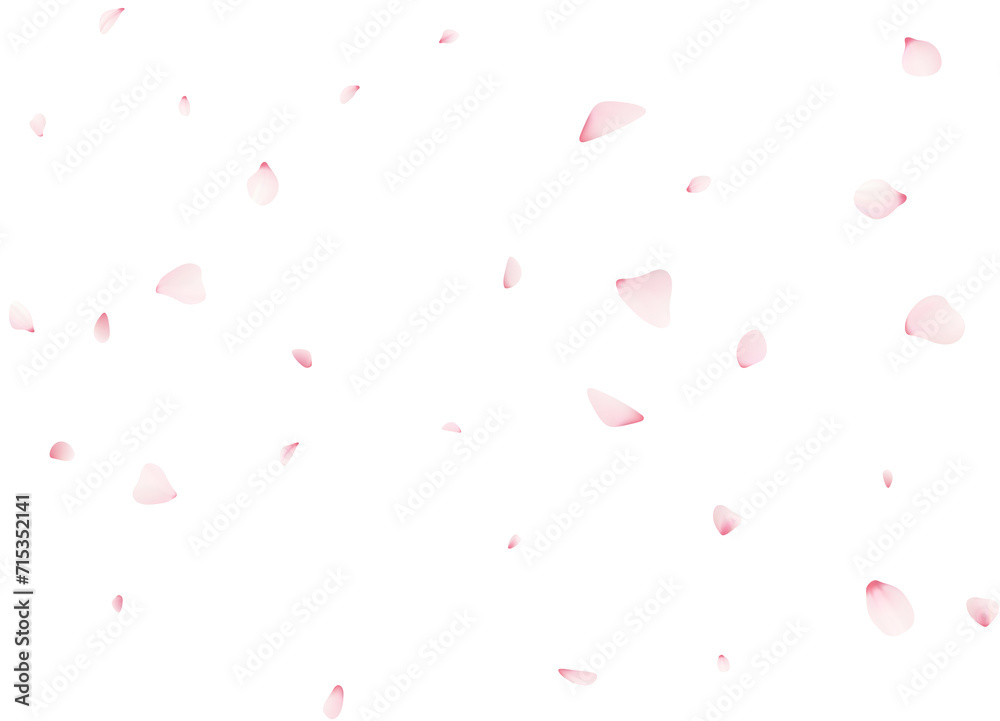 Falling Sakura Petals