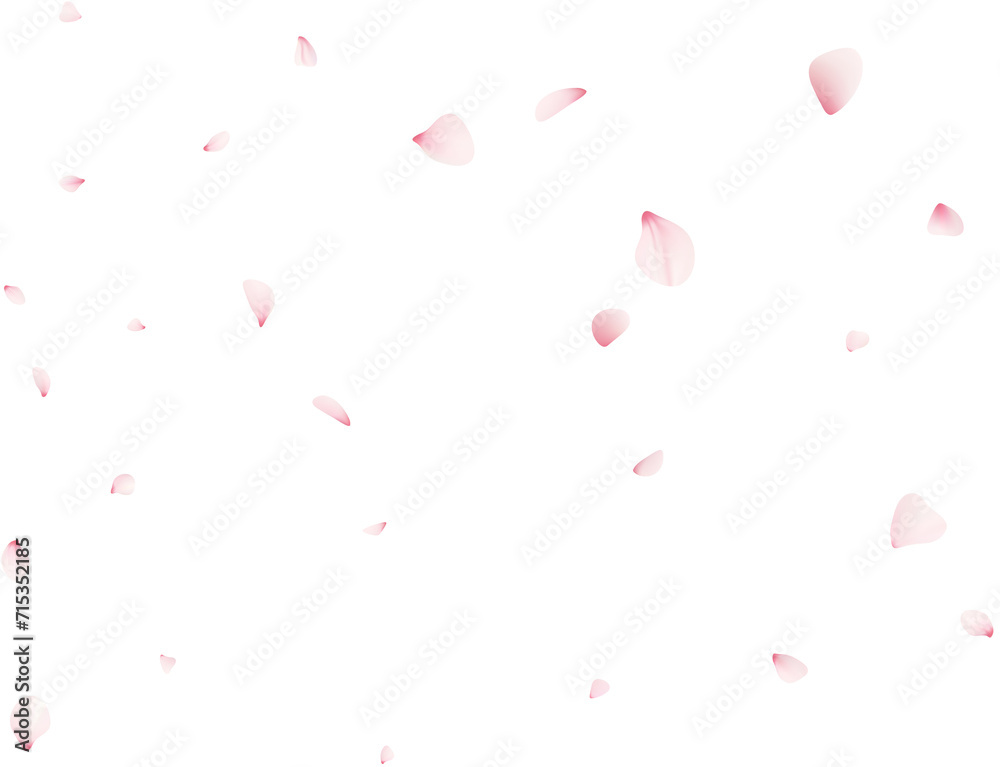 Falling Sakura Petals Falling Sakura Petals
