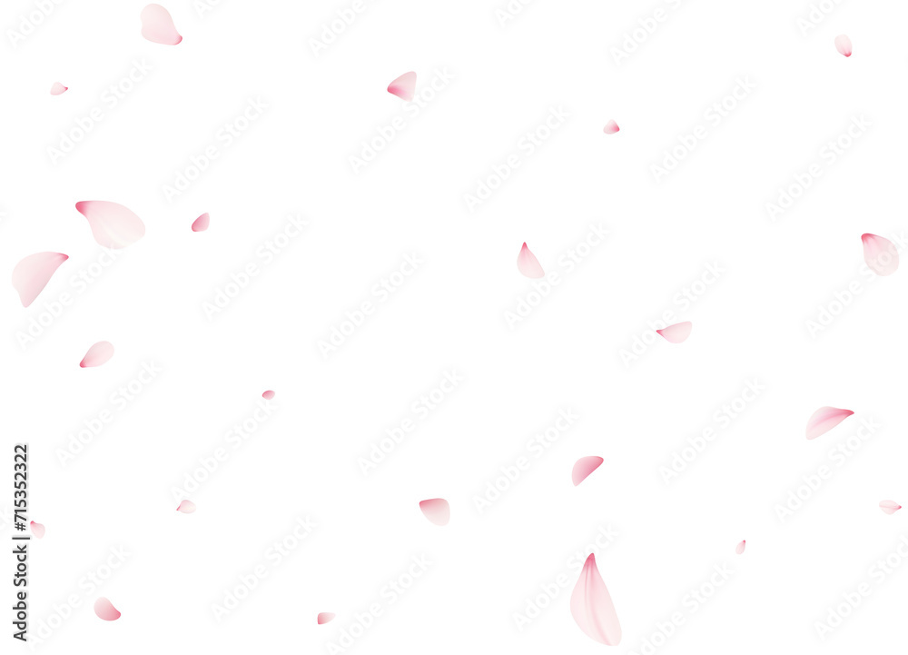 Falling Sakura Petals Falling Sakura Petals