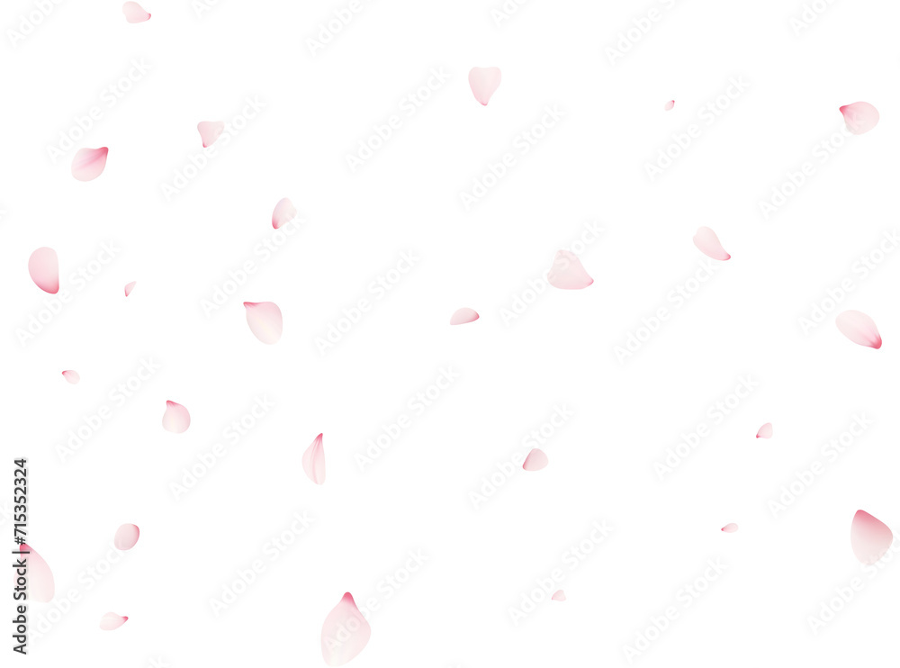 Falling Sakura Petals Falling Sakura Petals