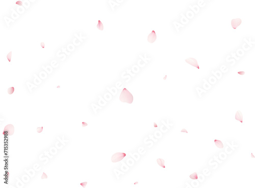 Falling Sakura Petals