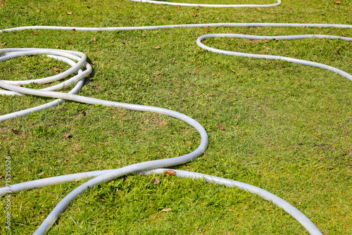 Garden hose for watering plants photo