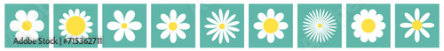 Daisy camomile. White chamomile icon set line. Square green shape frame silhouette. Cute flower plant. Love card. Cartoon kawaii funny collection. Growing concept. Flat design. White background.
