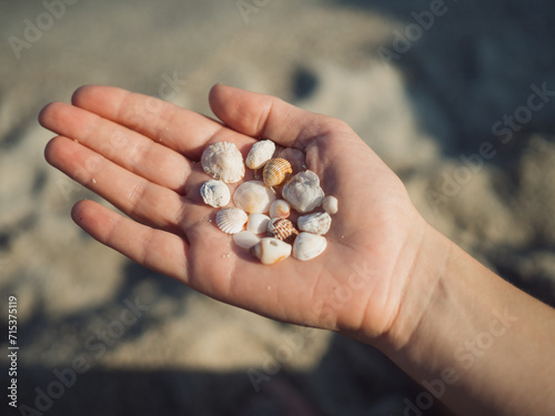 Horizontal close up of a sunlit female hand holding beautiful delicate sea shells against the sand backdrop.