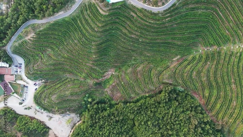 Slow aerial ascend over green hillside vineyard and building complex in Albania photo