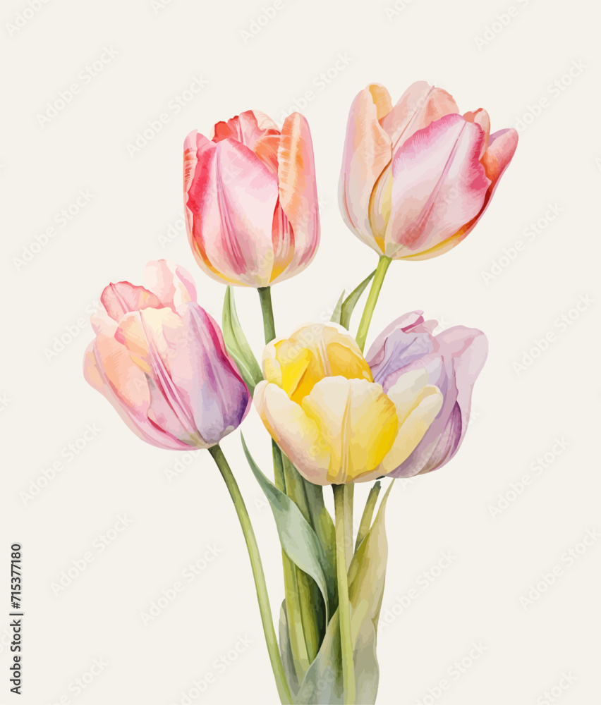 Women's Day. Greeting card with tulips. Vector illustration.