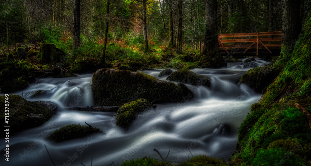 waterfall in the woods