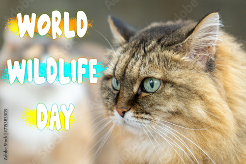 Majestic Feline Contemplates Nature on World Wildlife Day