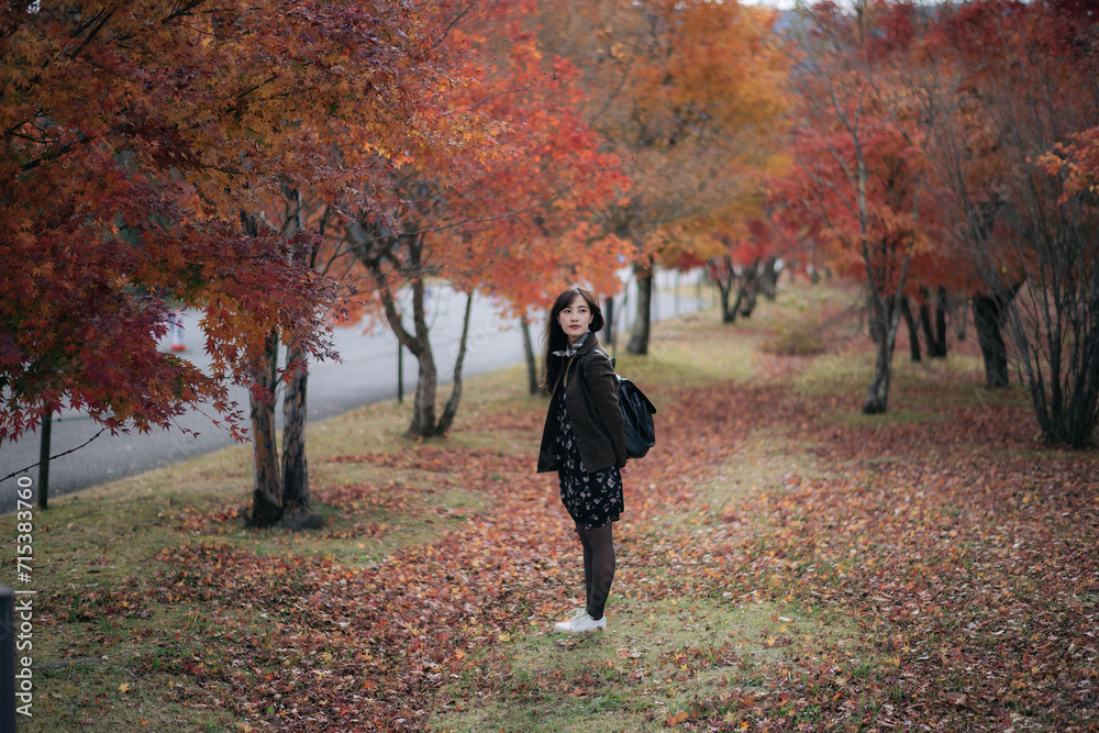 Portrait of a young Asian woman with autumn leaves Portrait of a young Asian woman with autumn leaves