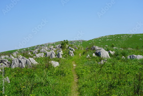 山口県秋吉台　Akiyoshidai © aquafesta