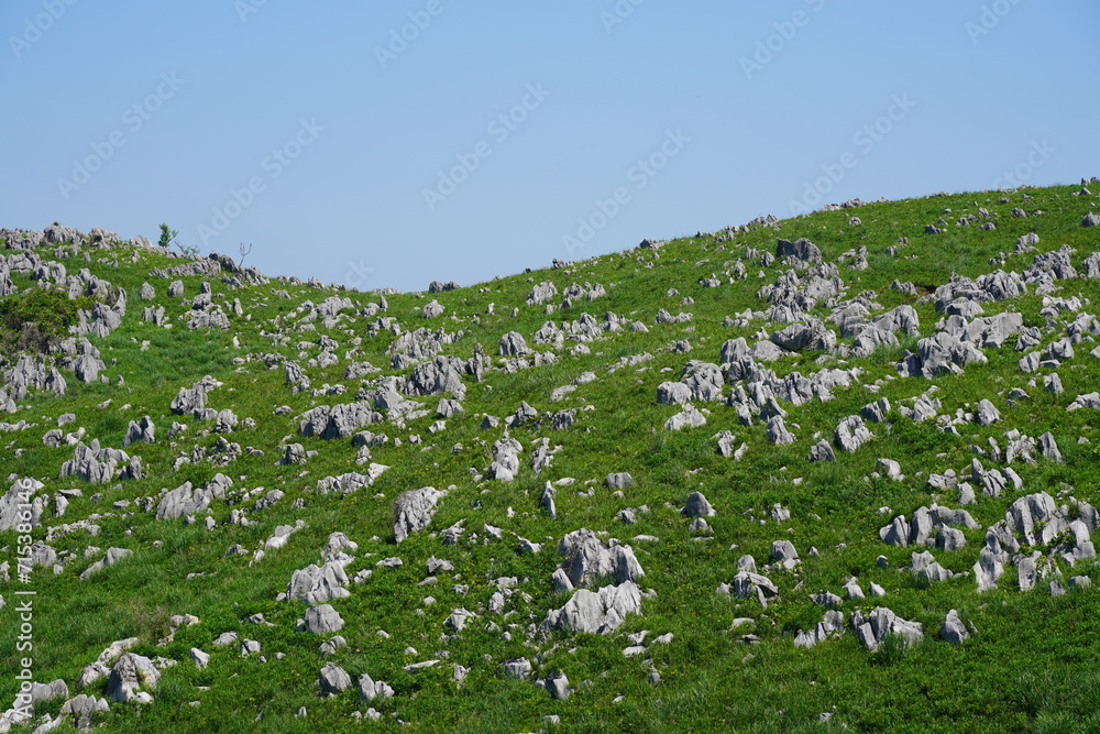 Naklejka premium 山口県秋吉台 Akiyoshidai