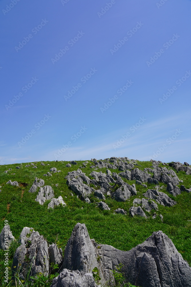 山口県秋吉台　Akiyoshidai