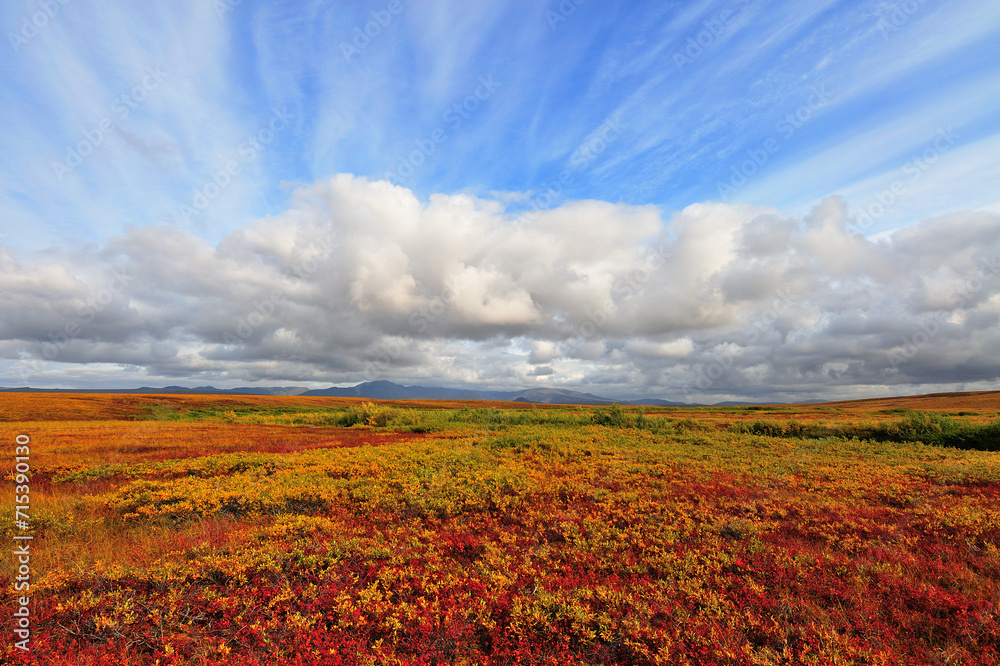 Colors of Golden ridge in tundra