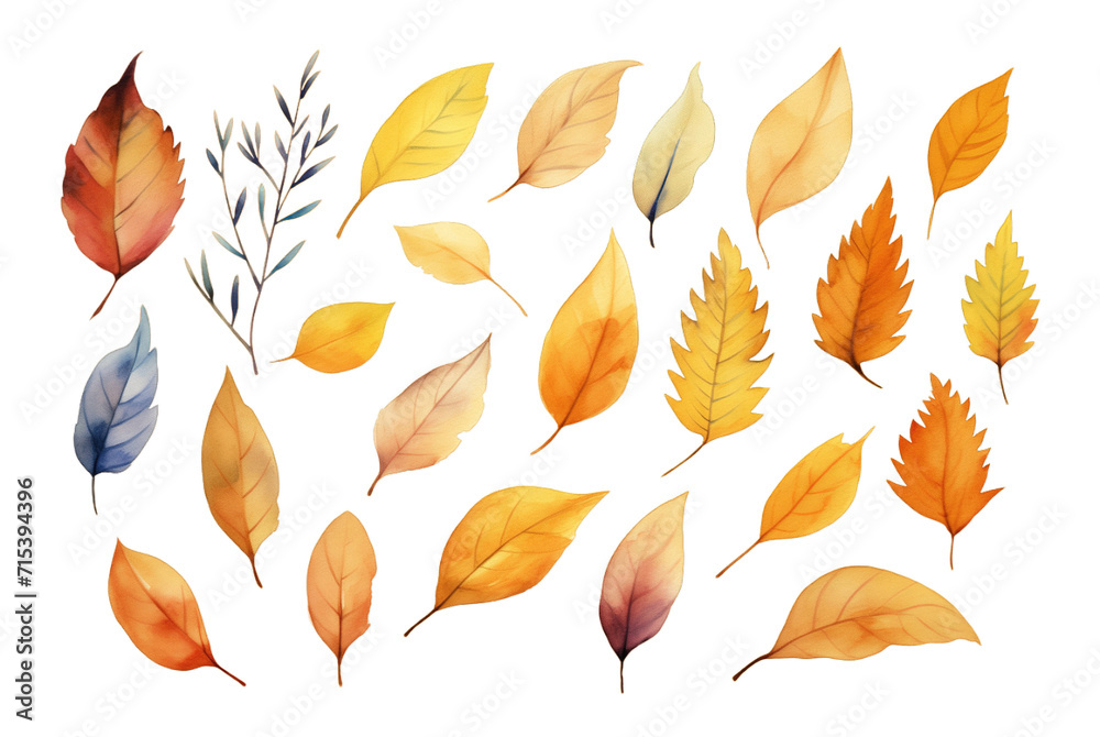 Collection of set watercolor Autumn Dry leaves isolated on transparent background. PNG file, cut out	
