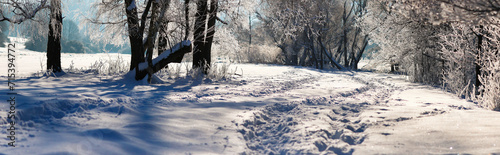 Winterlandschaft - Winter landscape photo