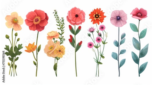 Different flowers decoration on white background