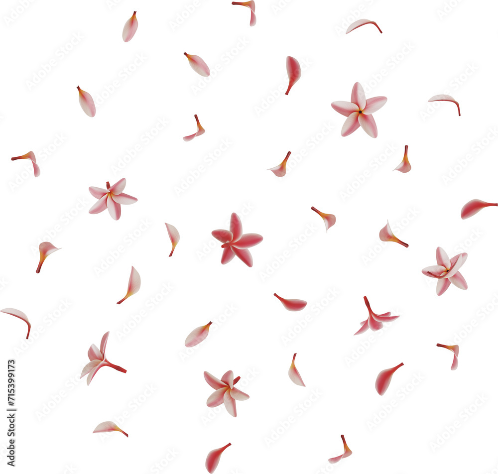 falling pink plumeria flower falling pink plumeria flower