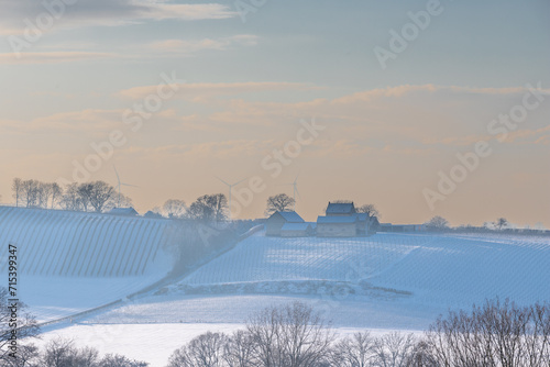 The Vineyards of the Apostelhoeve and the winery in the rolling hill landscape near Maastricht covered with fresh snow, creating an idyllic atmosphere of pure winter with a deep blue sky. 