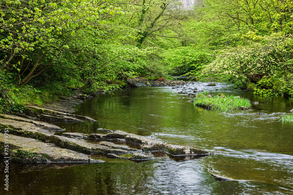 Water Of Leith Rivern In Edinburgh Water Of Leith Rivern In Edinburgh