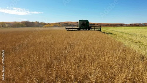 harvester is working on a wheat field in autumn, beautiful panoramic drone view