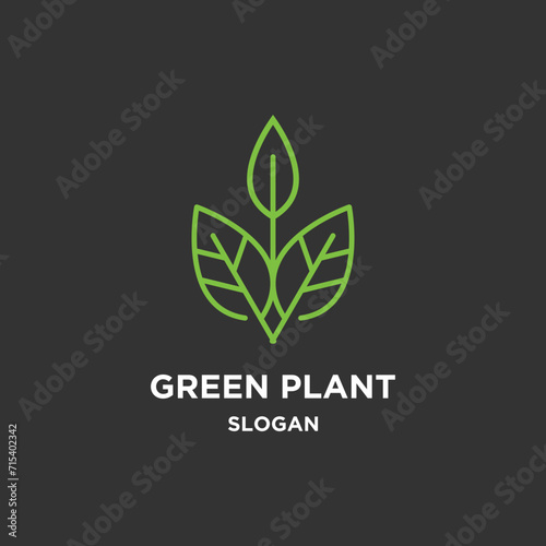 Eco green plant logo