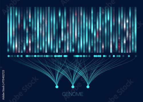 DNA genomic test, genome map.