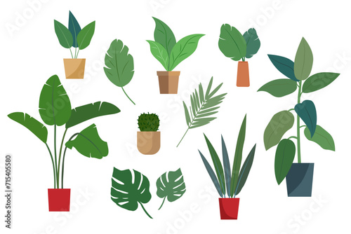 Set of illustrations of flower pots and plants isolated on a white background. Vector illustration.