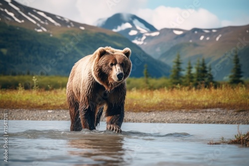  a large brown bear walking across a river in front of a lush green forest and mountain covered with snow covered mountains.
